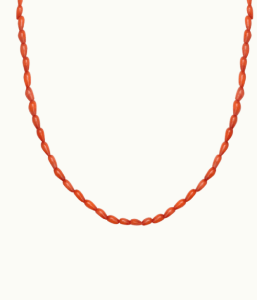 corallo